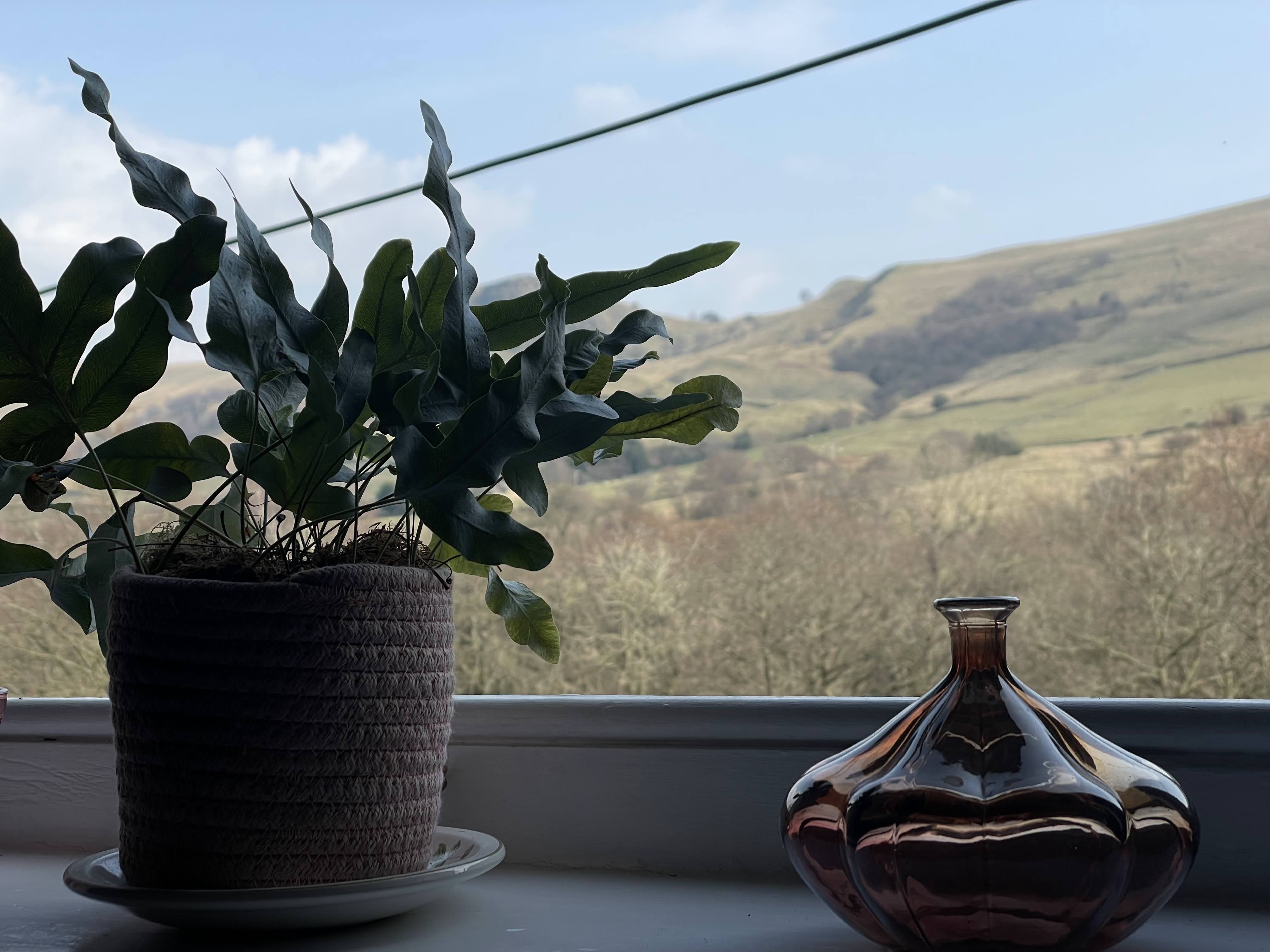 Lush greenery in a cozy cottage window with a decorative vase and stunning mountain views